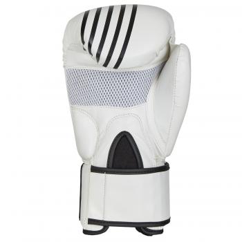 Phoenix Budosport Boxhandschuhe Sparring Kids